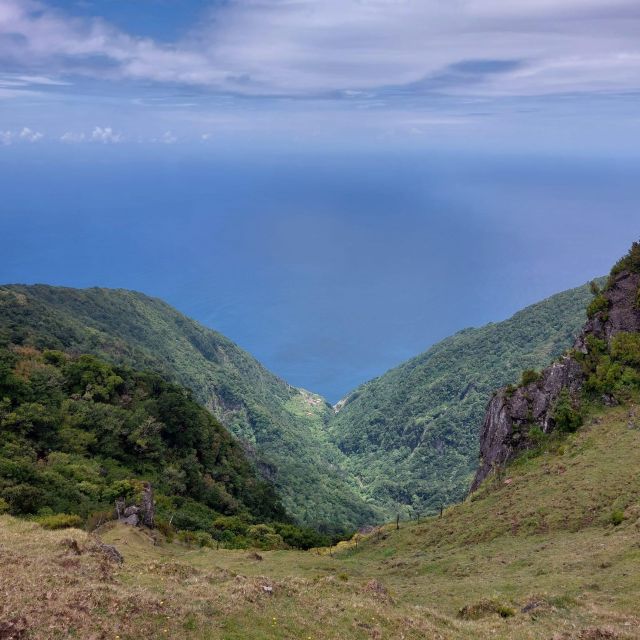 West Madeira:, Laurel Forest, Waterfall, Rock Pools, Walk - Paul da Serra and Fanal: mist, ancient laurel trees, and slow walking