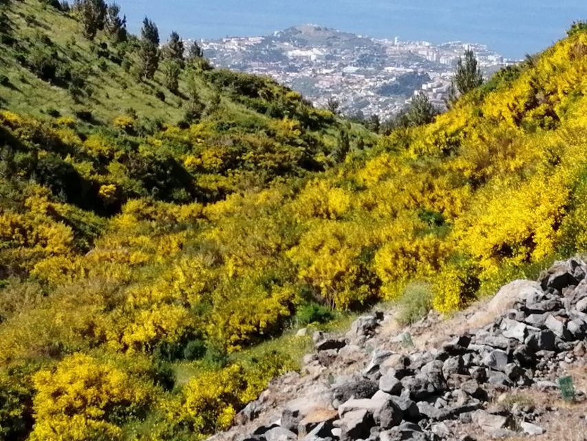 West Madeira:, Laurel Forest, Waterfall, Rock Pools, Walk - Porto Moniz: volcanic rock pools on the sea (and optional swimming)