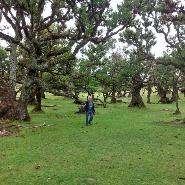 West Madeira:, Laurel Forest, Waterfall, Rock Pools, Walk - Price and value: what $37 gets you, and what costs extra