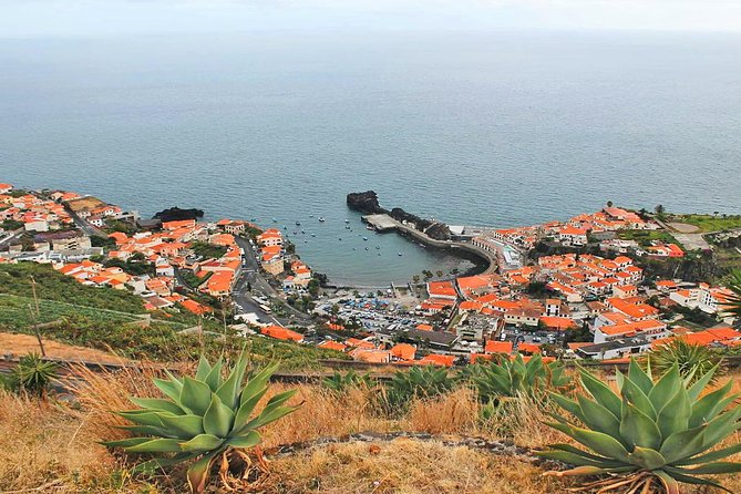 West Tour-Fanal Forest & Porto Moniz Natural Pools Small Groups - Why this West Madeira day trip works so well