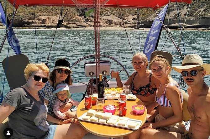 Whale and Dolphin Small Group Sailing from Tenerife South - Quick Hits Before You Go