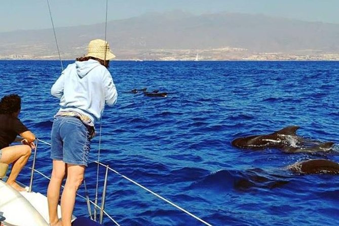 Whale and Dolphin Small Group Sailing from Tenerife South - Tenerife South Meets the Sea: Getting to Puerto Colón