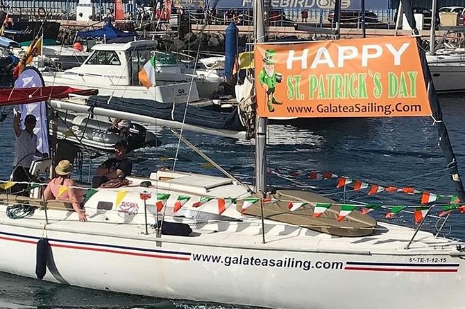 Whale and Dolphin Small Group Sailing from Tenerife South - Sea Conditions Matter: Motion Sickness and Weather Limits
