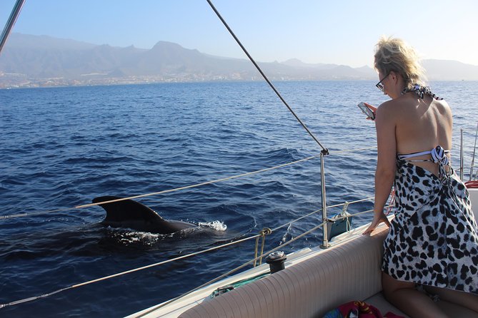 Whale and Dolphin Small Group Sailing from Tenerife South - A 7-Person Max Turns Whale Watching Into a Real Experience