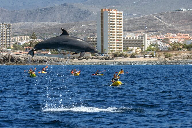 Whale and Dolphin Watching EcoAdventure in Tenerife - Meeting at Avenida de Colón: Your 2-Hour Start in Costa Adeje