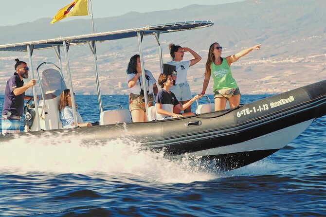 Whale and Dolphin Watching EcoAdventure in Tenerife - Responsible EcoAdventure: Litter Collection and Care for the Marine Ecosystem