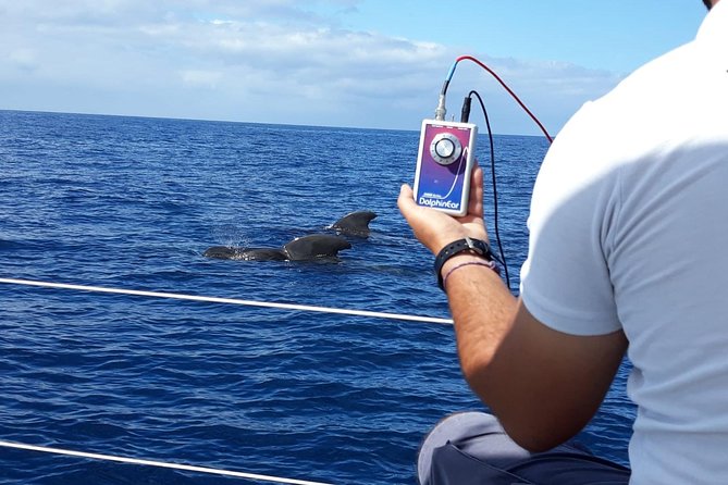 Whale and Dolphin Watching Sailing Boat with Drinks, Snacks and Swimming Time - Comfort on a Maxi-Not-Massive Boat (Max 11 Travelers)