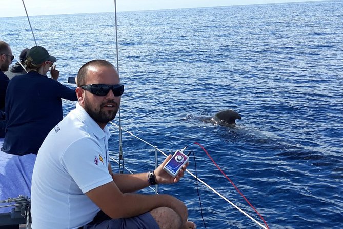 Whale and Dolphin Watching Sailing Boat with Drinks, Snacks and Swimming Time - Sea Conditions Matter: Weather, Sea Sickness, and Timing