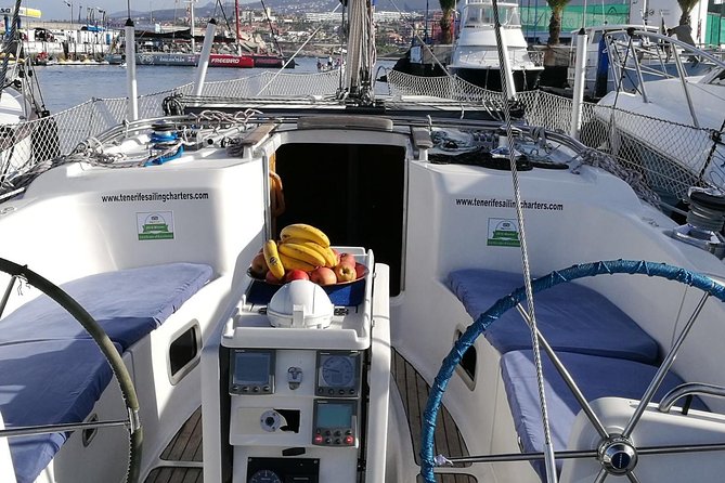 Whale and Dolphin Watching Sailing Boat with Drinks, Snacks and Swimming Time - Price and Value: Is $78.44 Worth It?