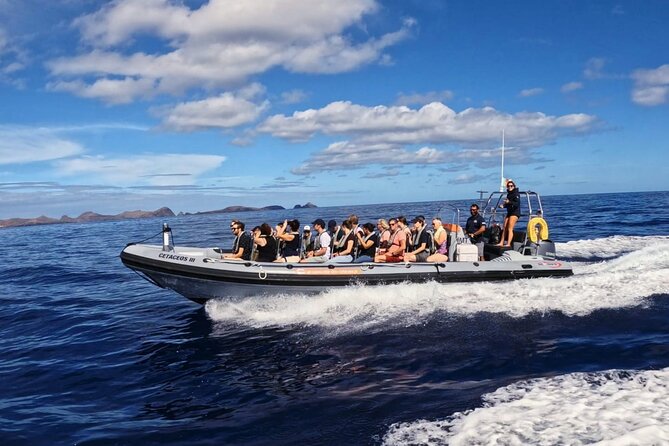Whale and Dolphin Watching Tour from Funchal - If you see nothing: how the second wildlife trip changes the risk