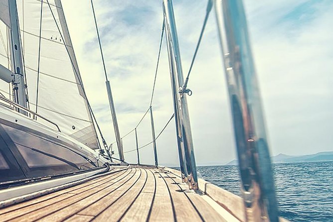 Whale and Dolphin Watching Yacht Trip in Puerto Colon - What you’re really watching for off Tenerife