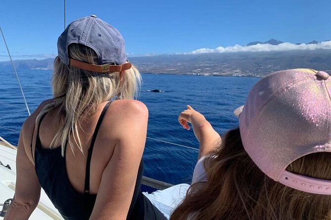Whale and Dolphin Watching Yacht Trip in Puerto Colon - Price and value: what $62.56 really buys you