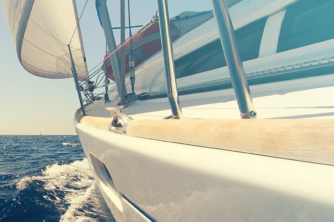 Whale and Dolphin Watching Yacht Trip in Puerto Colon - How the captain finds whales and dolphins (and keeps you in the loop)