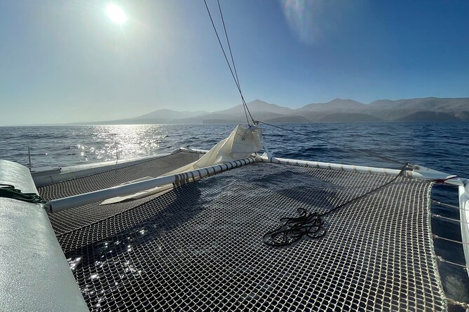 Whale & Dolphin Observation on Silent Catamaran with Hydrophone - Key Points to Know Before You Sail