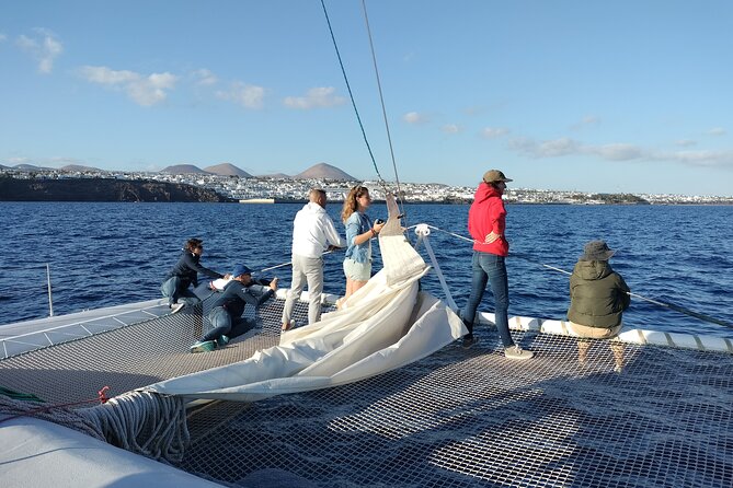 Whale & Dolphin Observation on Silent Catamaran with Hydrophone - Snaks, Drinks, and What to Wear When the Wind Changes