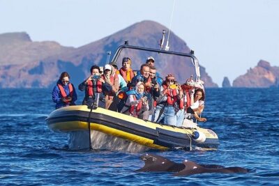 Whale & Dolphin Watching in Madeira - Stop 1: Ponta de São Lourenço and the thrill of open-coast watching