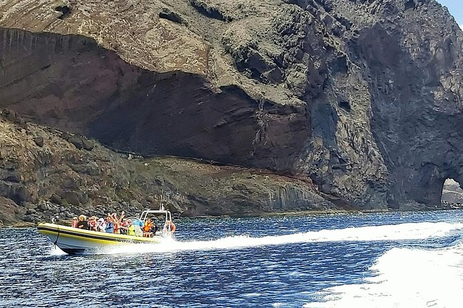 Whale & Dolphin Watching in Madeira - The crew and the guide: why it’s more than just a boat