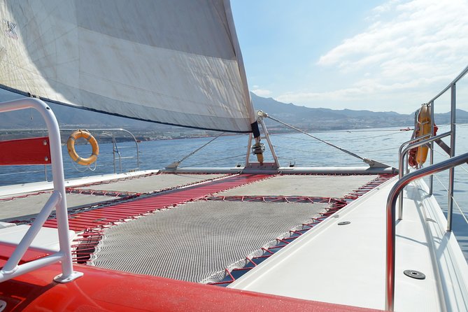 Whale watching and listening Eco-Catamaran Tour with Food Tasting - Key Highlights You’ll Actually Care About