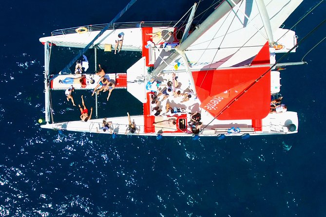 Whale watching and listening Eco-Catamaran Tour with Food Tasting - Stop 1: Puerto Colón Wildlife Search, Then Time to Swim and Snorkel