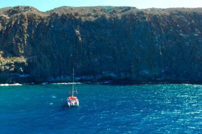 Whale watching and listening Eco-Catamaran Tour with Food Tasting - Captain Commentary and Whale Listening That Feels Practical