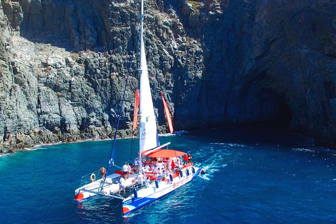 Whale watching and listening Eco-Catamaran Tour with Food Tasting - Weather Is Part of the Deal, So Dress for It