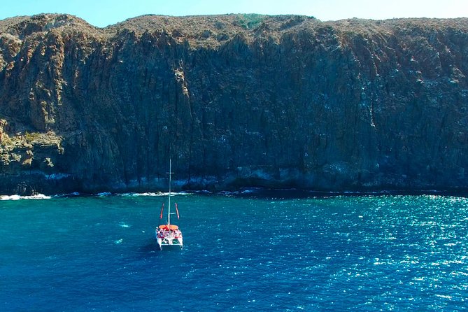Whale watching and listening Eco-Catamaran Tour with Food Tasting - Captain Commentary and Whale Listening That Feels Practical