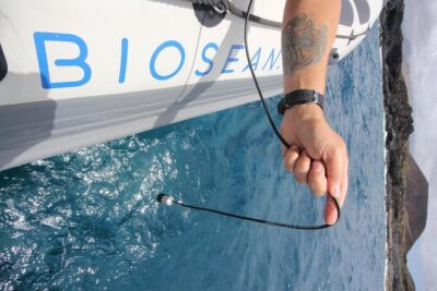 Whale Watching and Marine Science Tour - The 10-Person Cap: Why the Experience Feels Personal