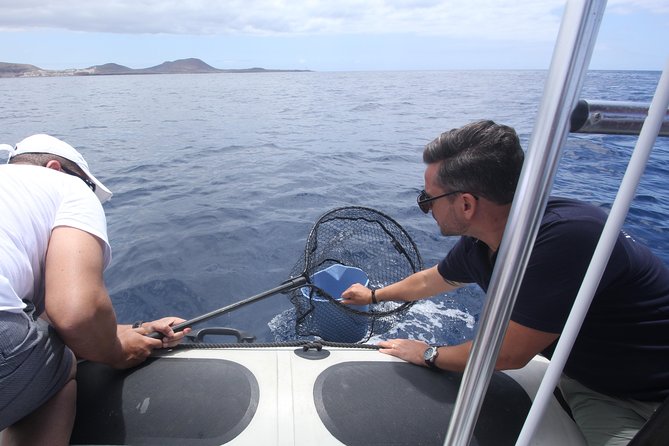 Whale Watching and Marine Science Tour - El Teide Views on Clear Skies: When Timing Turns Beautiful