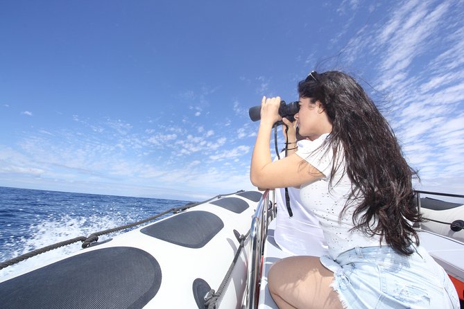 Whale Watching and Marine Science Tour - On Board Practicalities: What’s Included and What You Should Bring