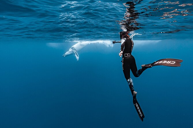 Whale watching and snorkelling in Moorea - Smart weather planning for Moorea (so your day doesn’t feel wasted)