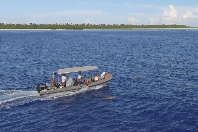 Whale Watching Bora Bora - Price and value: is $304 a fair deal for Bora Bora?