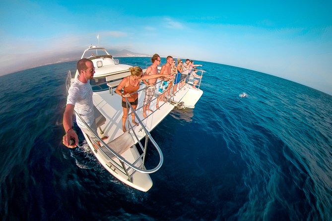 Whale Watching Catamaran Cruise with Transfer, Buffet by MC - Tenerife whale watching from Puerto Colón, in about 3 hours