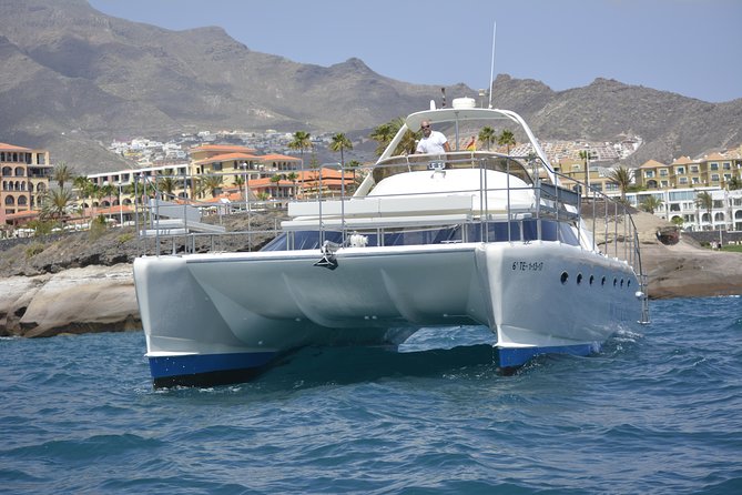 Whale Watching Catamaran Cruise with Transfer, Buffet by MC - The buffet and drink plan: food, beer, and no one worrying about meals