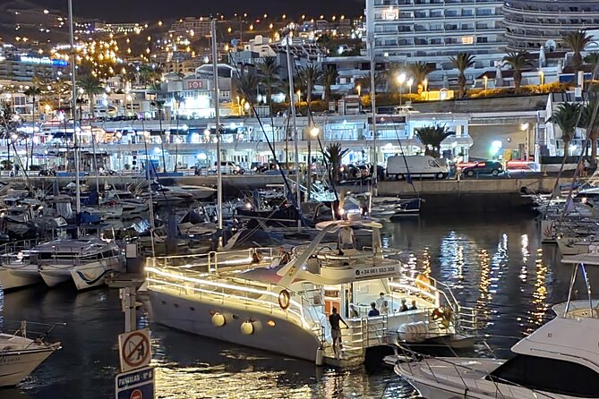 Whale Watching Catamaran Cruise with Transfer, Buffet by MC - Price and value: what $71.35 buys on this catamaran
