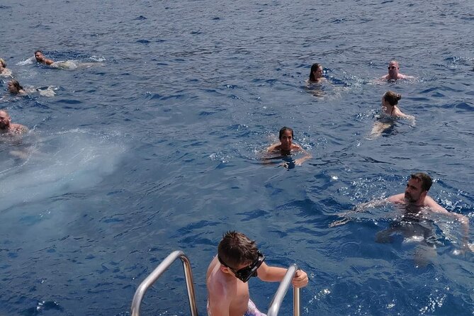 Whale Watching Catamaran in Costa Adeje (Including drinks & Sandwich) - Choosing your spot: sunbeds, front deck, and staying comfortable