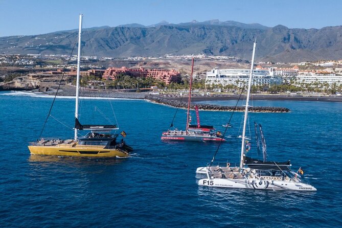 Whale Watching Catamaran in Costa Adeje (Including drinks & Sandwich) - Who this Costa Adeje whale tour is best for