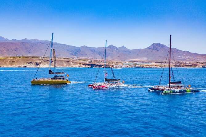 Whale Watching Catamaran in Costa Adeje (Including drinks & Sandwich) - Quick reality check on the timing and duration