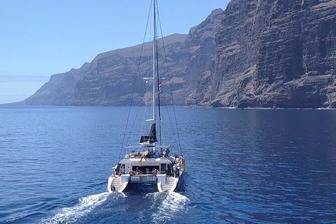 Whale Watching Catamaran to Los Gigantes & Masca (Including drinks & warm lunch) - Quick hits before you go