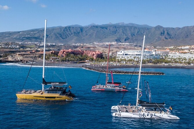 Whale Watching Catamaran to Los Gigantes & Masca (Including drinks & warm lunch) - Warm lunch and alcoholic drinks: included value, with a few caveats