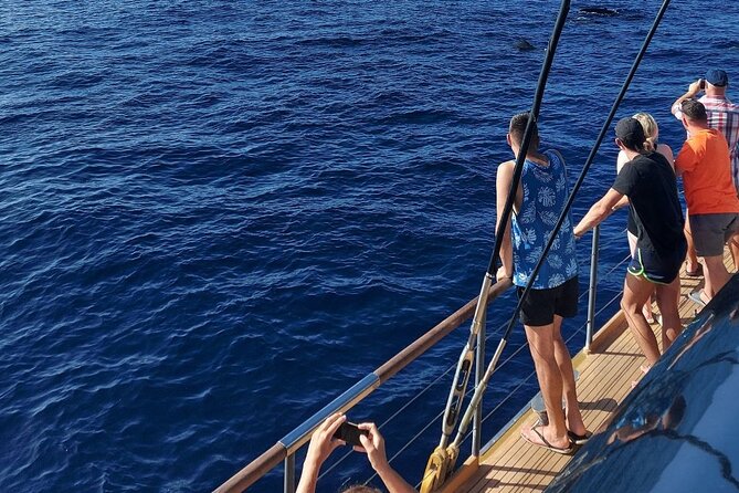 Whale Watching Catamaran to Los Gigantes & Masca (Including drinks & warm lunch) - Deck comfort, sun beds, and what to pack
