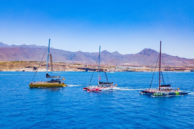 Whale Watching Catamaran to Los Gigantes & Masca (Including drinks & warm lunch) - Pickup and meeting point: the detail that prevents stress