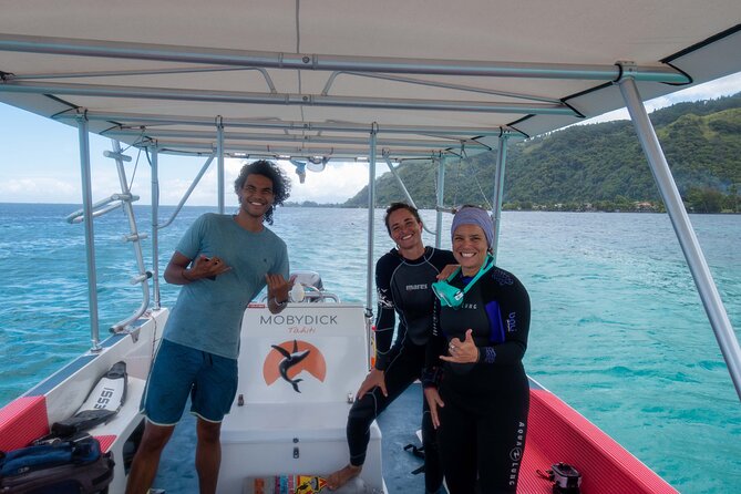 Whale watching on the preserved and quiet coast of Paea (Pk26) - Swimming rules, fitness reality, and seasickness prep