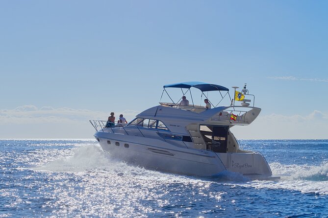 Whales and Dolphins excursion on a Luxury Yacht in Canary Islands - Key things to know before you go