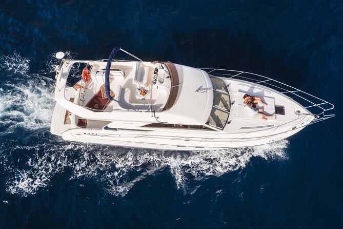 Whales and Dolphins excursion on a Luxury Yacht in Canary Islands - Royal Ocean Yacht Tour: the small-group luxury angle that pays off