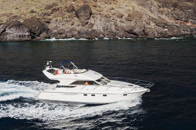 Whales and Dolphins excursion on a Luxury Yacht in Canary Islands - The first hour: searching for whales and dolphins off Tenerife