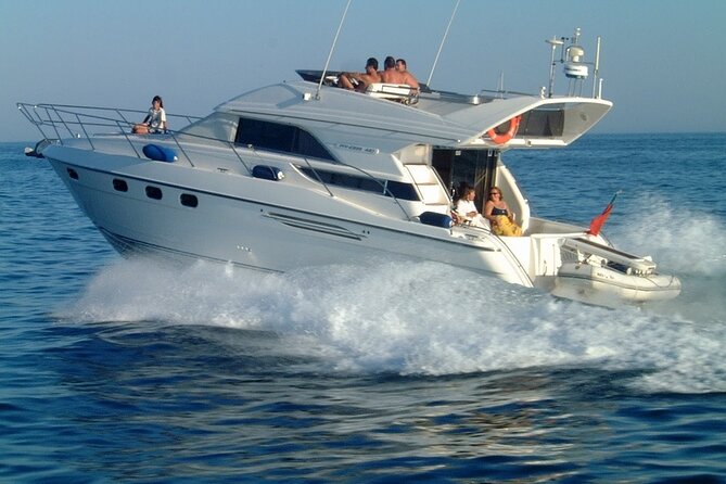 Whales and Dolphins excursion on a Luxury Yacht in Canary Islands - Cruising by Teide: photos, pacing, and why the route helps