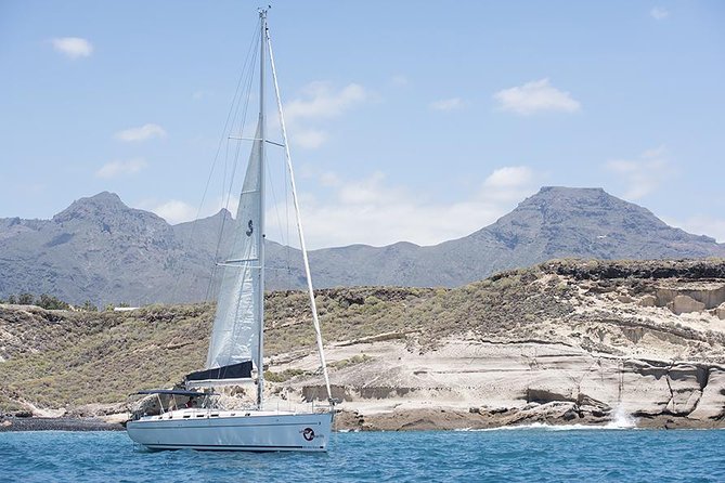 Whales & Dolphins watching in exclusive sailboat - The on-board catering and free snorkeling gear: convenience, not a buffet