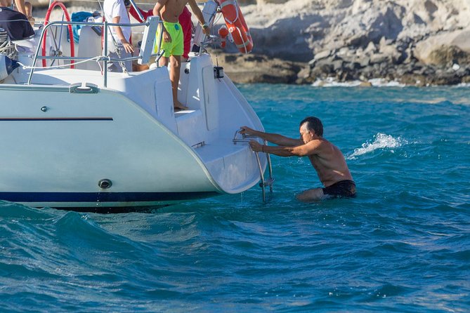 Whales & Dolphins watching in exclusive sailboat - Dolphin-and-whale etiquette: why they manage distance and time