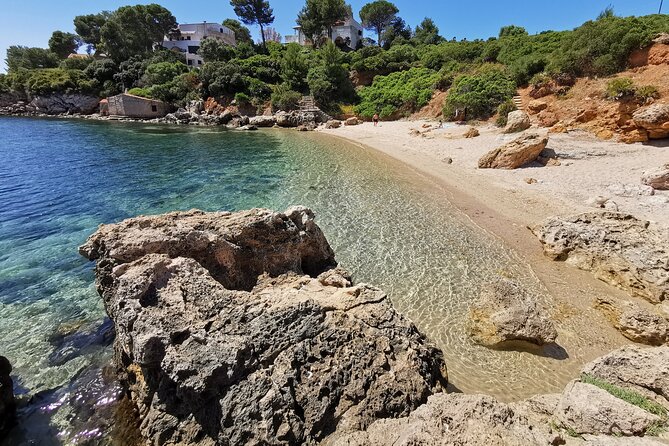 Wild Beaches & Snorkeling Tour - Wild Beaches & Snorkeling Tour: The kind of day you remember