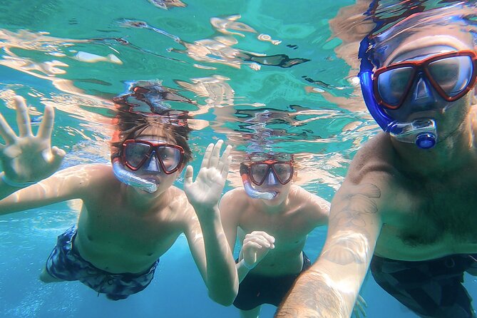 Wild Beaches & Snorkeling Tour - Snorkeling with a marine biologist: what you’ll actually get